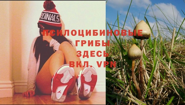бутират Алексин