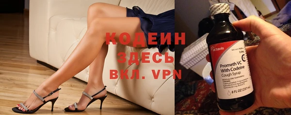 молекула духа Алзамай