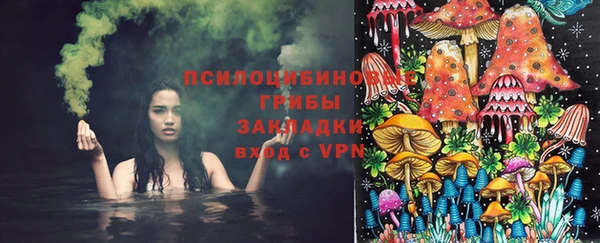 молекула духа Алзамай